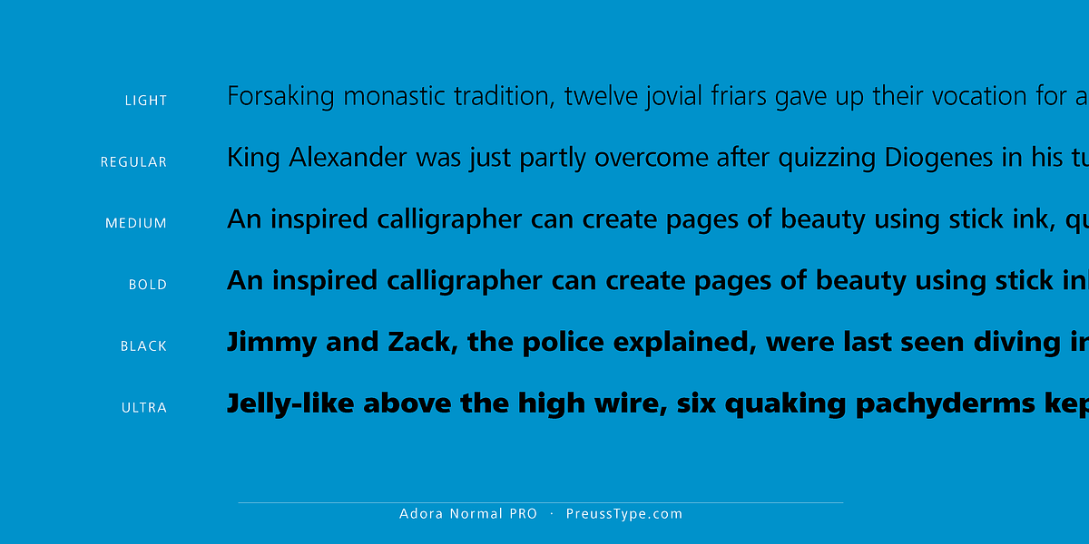 Adora PRO, a Sans Serif Font by preussTYPE (Photo 5 of 40)