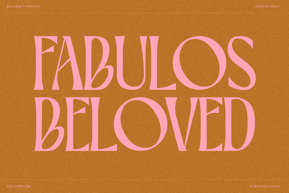 Belvare - Retro Aesthetic Serif, a Serif Font by CCS Type (Photo 6 of 22)