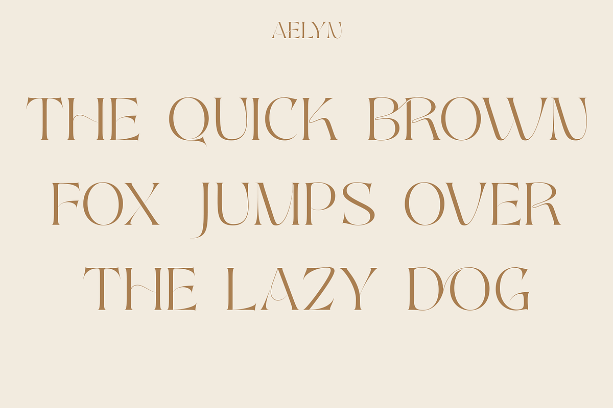 Aelyn - Ligature Serif Font, a Serif Font by Surplus Type Co (Photo 3 of 12)