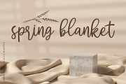 Dichigan - Modern Calligraphy Script, a Script Font by Motokiwo (Thumbnail 6 of 11)