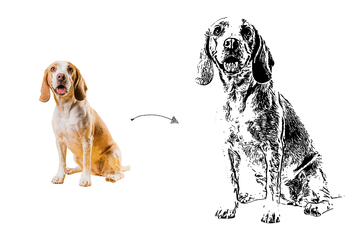 Pet Vector Trace Photoshop Effect, an Action Add-On by Shovajit (Photo 6 of 9)