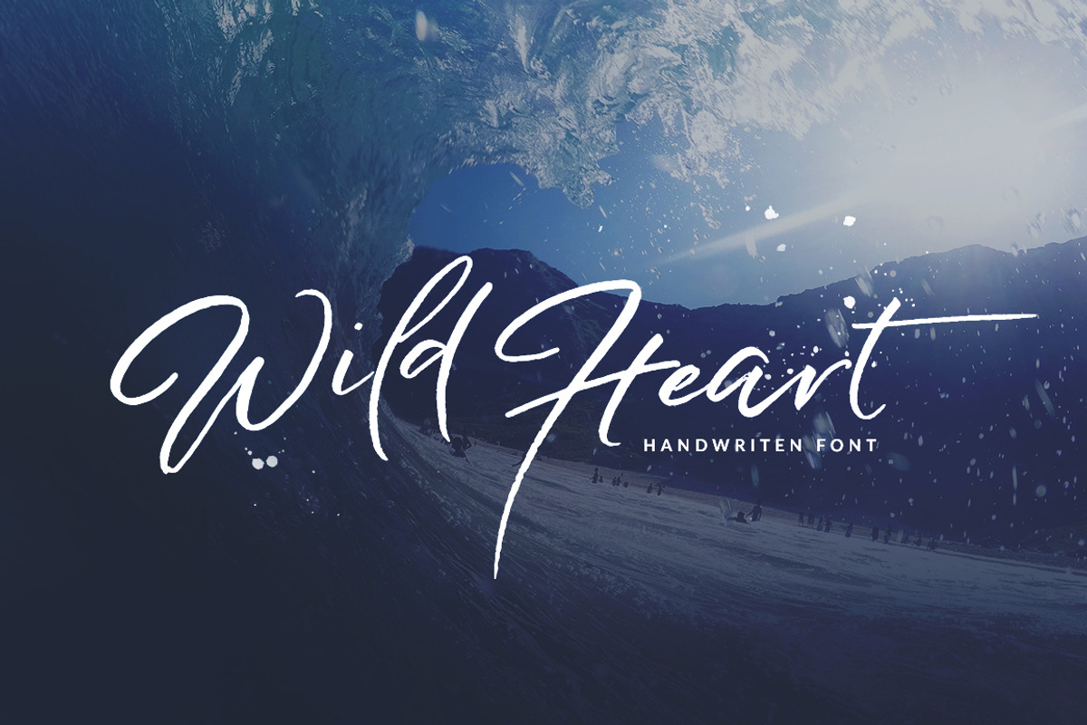 Wild Heart - Brush Font Set 40% OFF, a Script Font by Dirtyline Studio (Photo 1 of 12)