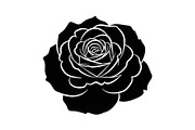 50 Black Rose Silhouette Vector Bund, an Illustration by Gaye Art (Thumbnail 38 of 51)