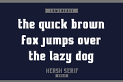 HERSH SERIF FONT FAMILY, a Serif Font by Alphabet Agency (Thumbnail 9 of 14)