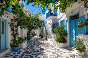 Blue door street with plants, a Photo by Beautiful things