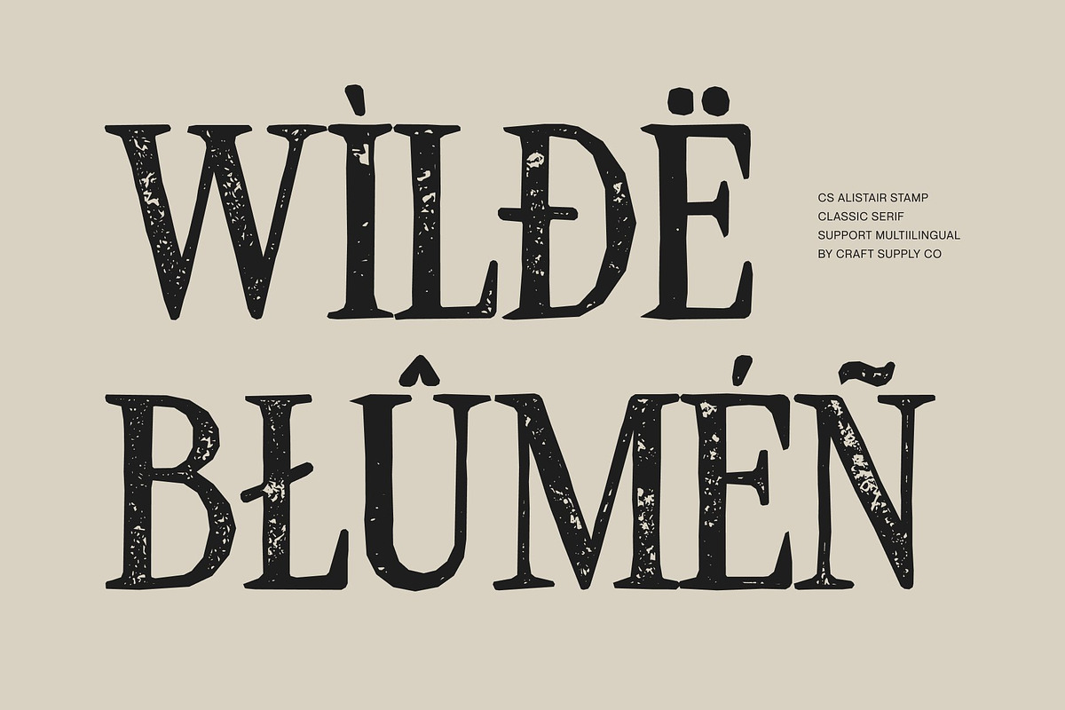 CS Alistair Stamp, a Serif Font by Craft Supply Co. (Photo 7 of 8)