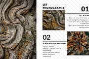 Grain of Time - Natural Wood Texture, a Nature Photo by Virgo Studio (Thumbnail 3 of 6)