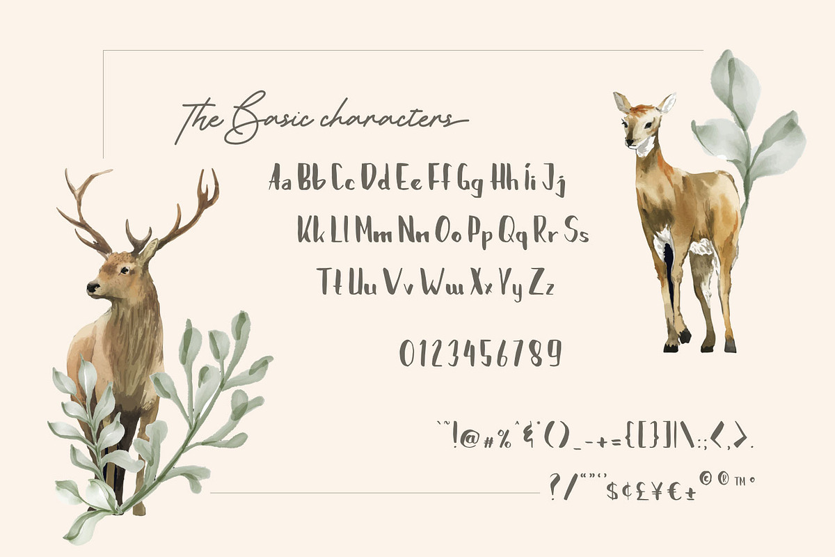 Brushylicious - Aesthetic Brush Font, a Font by Pollux of Geminorum (Photo 4 of 12)