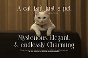 Clasina Elegant Serif Font, a Serif Font by Elegant Font (Thumbnail 6 of 8)