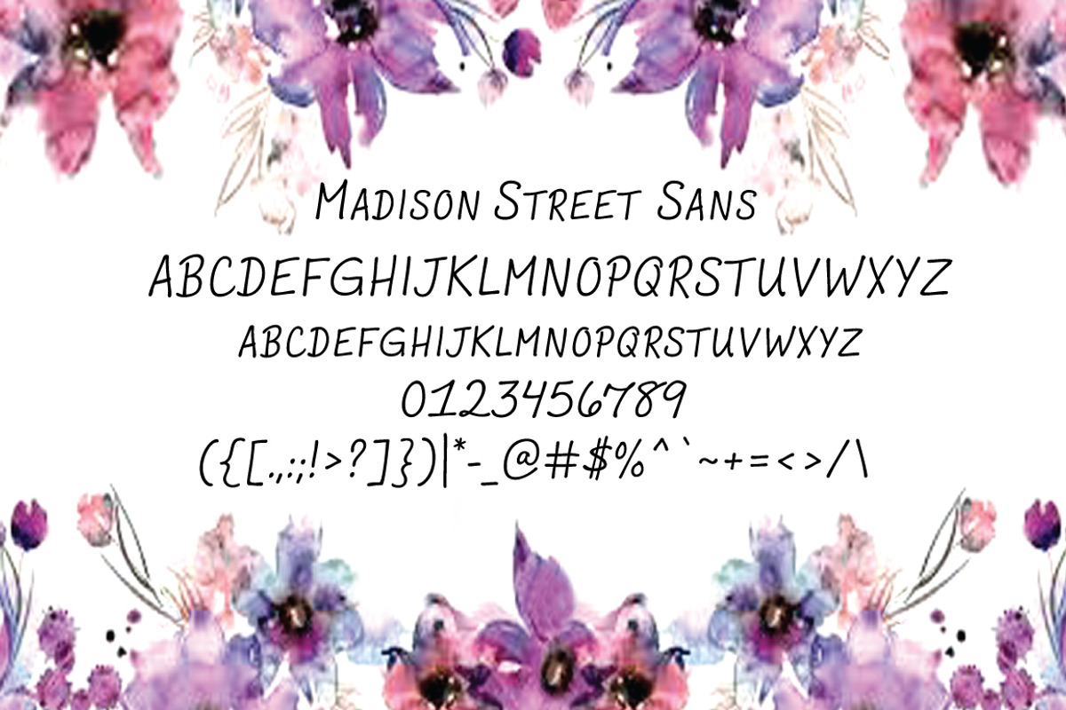 Madison Street Sans, a Sans Serif Font by STUDIOWAYS (Photo 2 of 5)