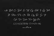 Palmark - Signature font, a Script Font by tkzgraphic (Thumbnail 2 of 5)