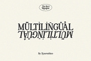 Perfect Mangue | Serif Duo Font, a Serif Font by Typoraith Co (Thumbnail 9 of 10)