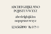 Quincy Serif, a Serif Font by dealitastudio (Thumbnail 12 of 13)