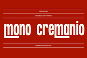 Mono Cremanio Modern Bold Font, a Sans Serif Font by Rasio Studio (Thumbnail 8 of 12)