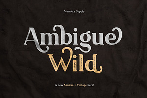 Ambigue Wild Modern X Vintage Serif