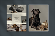 Autumn & Pumpkin Lifestyle vol 1, a Holiday Photo by Arnhem Studio (Thumbnail 6 of 8)