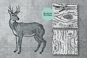 Twigs Frames, objects, patterns, an Object Graphic by Nenilkime (Thumbnail 4 of 5)