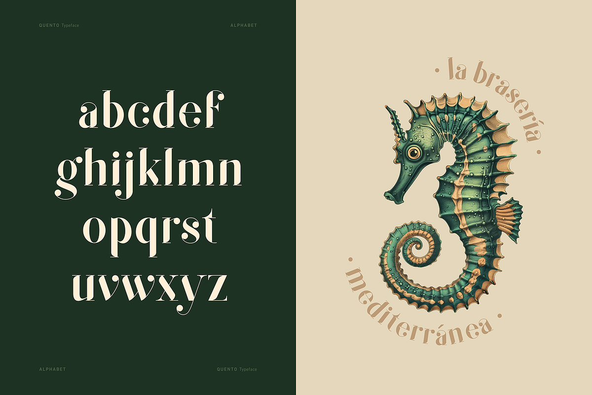 QUENTO | Modern Serif Display Font, a Serif Font by Glyph44 (Photo 3 of 16)