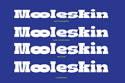 Boldie Slab Font Width, a Slab Serif Font by Fortunes Co (Thumbnail 5 of 12)