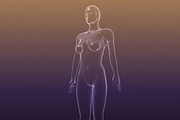 Male And Female Anatomy X-ray Bodies, a Characters & Person 3D Model by VisualCG (Thumbnail 9 of 15)