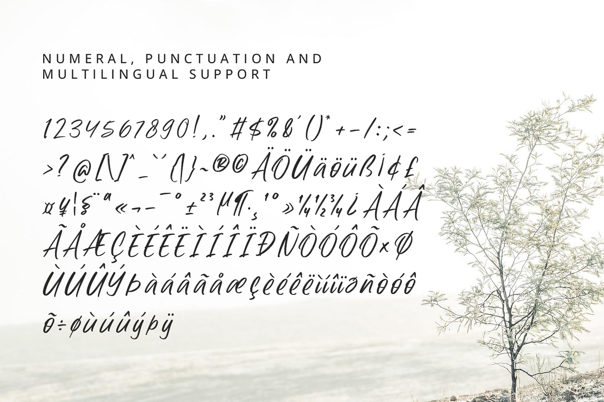 Safilla - Handwritten Font, a Script Font by overlaytemplates (Photo 5 of 5)