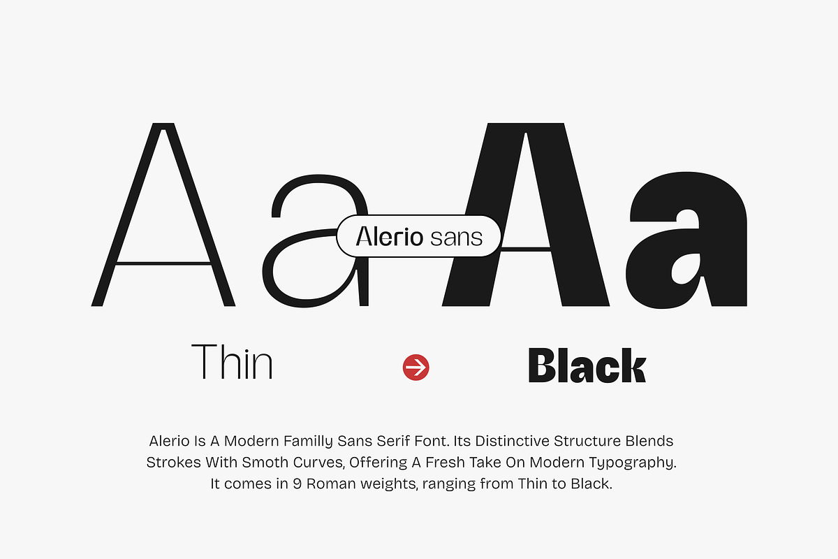 Alerio Sans, a Sans Serif Font by zeenesia (Photo 2 of 17)