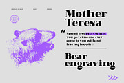 Greevil Display Font, a Serif Font by Damelev (Thumbnail 5 of 9)