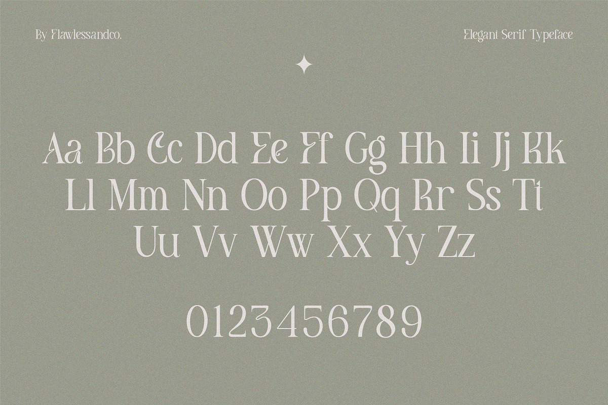 Meghan, a Serif Font by Flawless And Co (Photo 2 of 9)