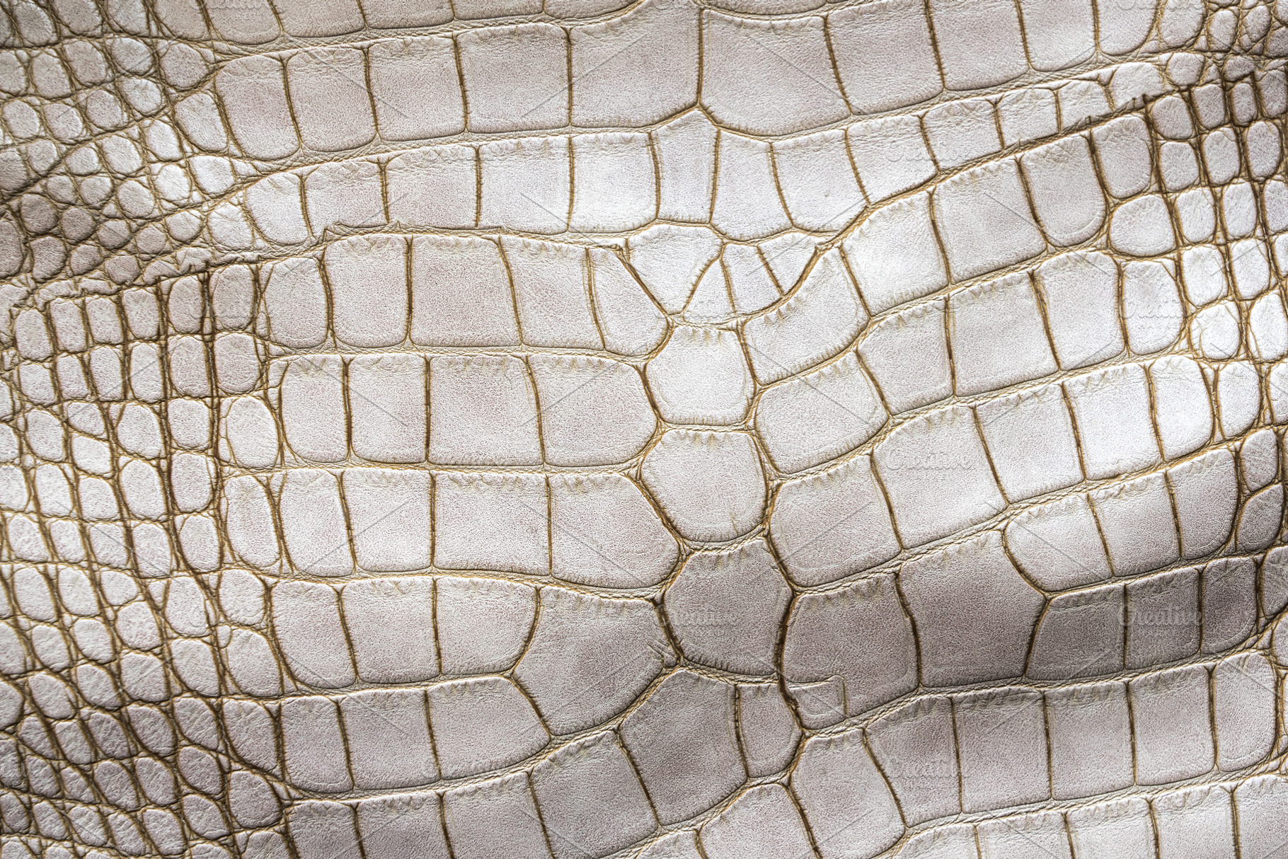 White crocodile or aligator leather texture. Abstract hide background., an Abstract Photo by Eugene_Photo