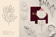 Botanical Elements for Logo Design, a Texture Illustration by amber&ink (Thumbnail 4 of 10)