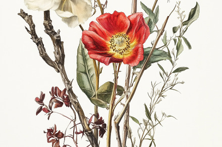 Flowers in dark preview 4