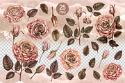 Love&Rose botany vintage watercolor, a Decorative Illustration by EL_SUHOVA (Thumbnail 2 of 13)