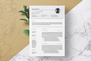 Clean Resume/CV Word