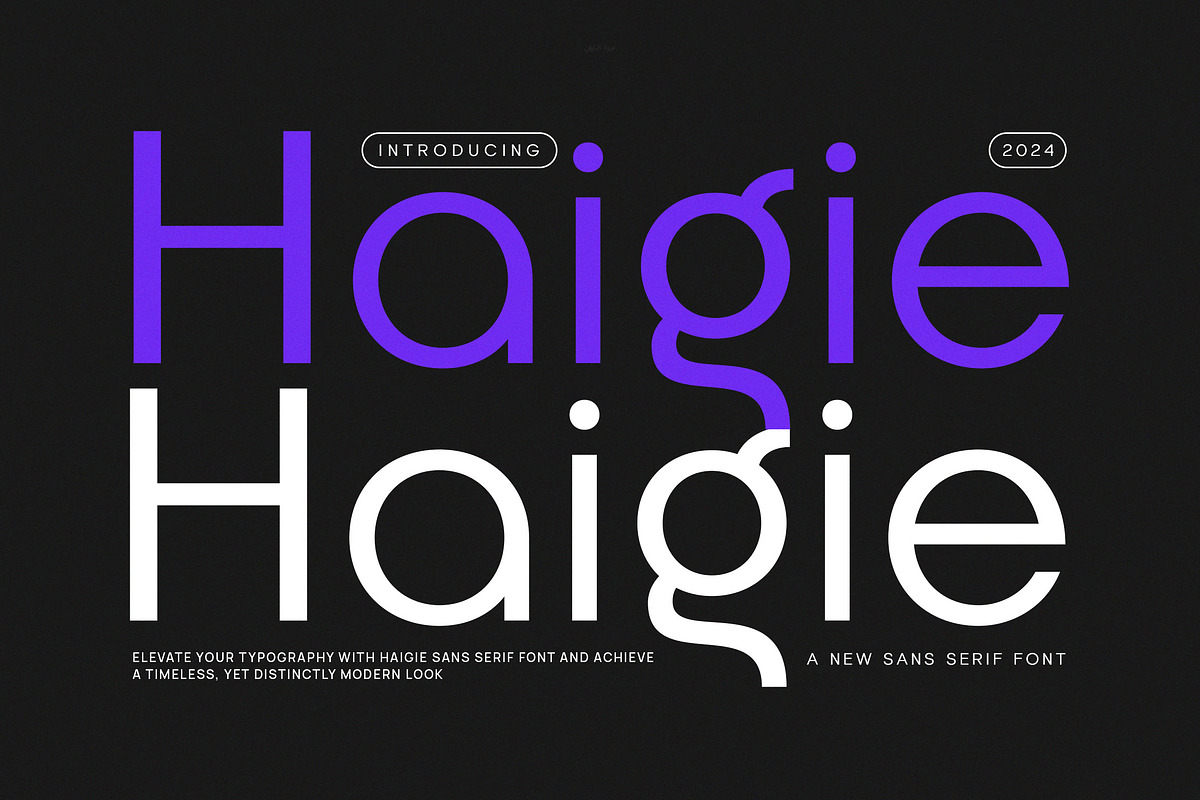 Haigie - Modern Sans Serif, a Sans Serif Font by Typeformers (Photo 1 of 5)