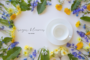 Goodspring Script, a Script Font by Beck McCormick (Thumbnail 9 of 10)