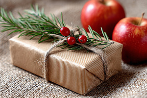 Eco-friendly Christmas gift wrapped, a Holiday Photo by MistyDay