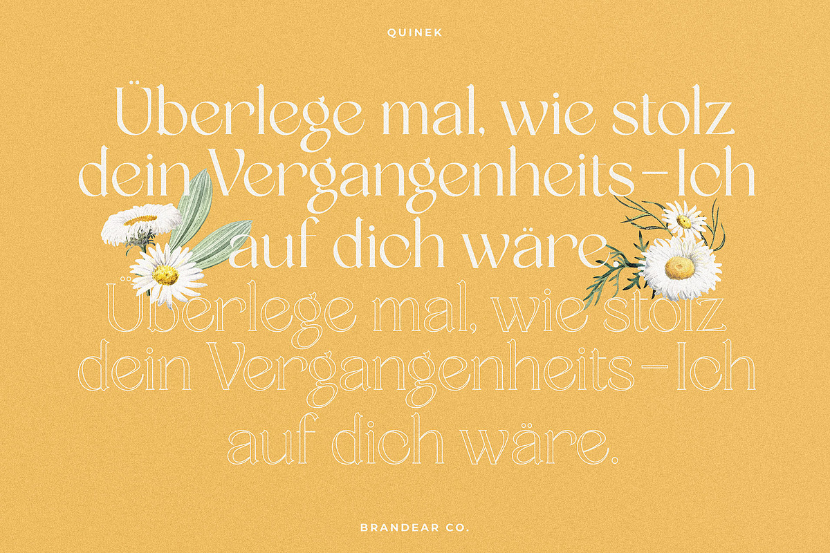 Quinek Elegant Serif, a Serif Font by Brandear Design (Photo 2 of 16)