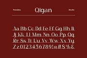 Qigan - Luxury Magazine Font, a Serif Font by Pandeka Studio (Thumbnail 9 of 9)