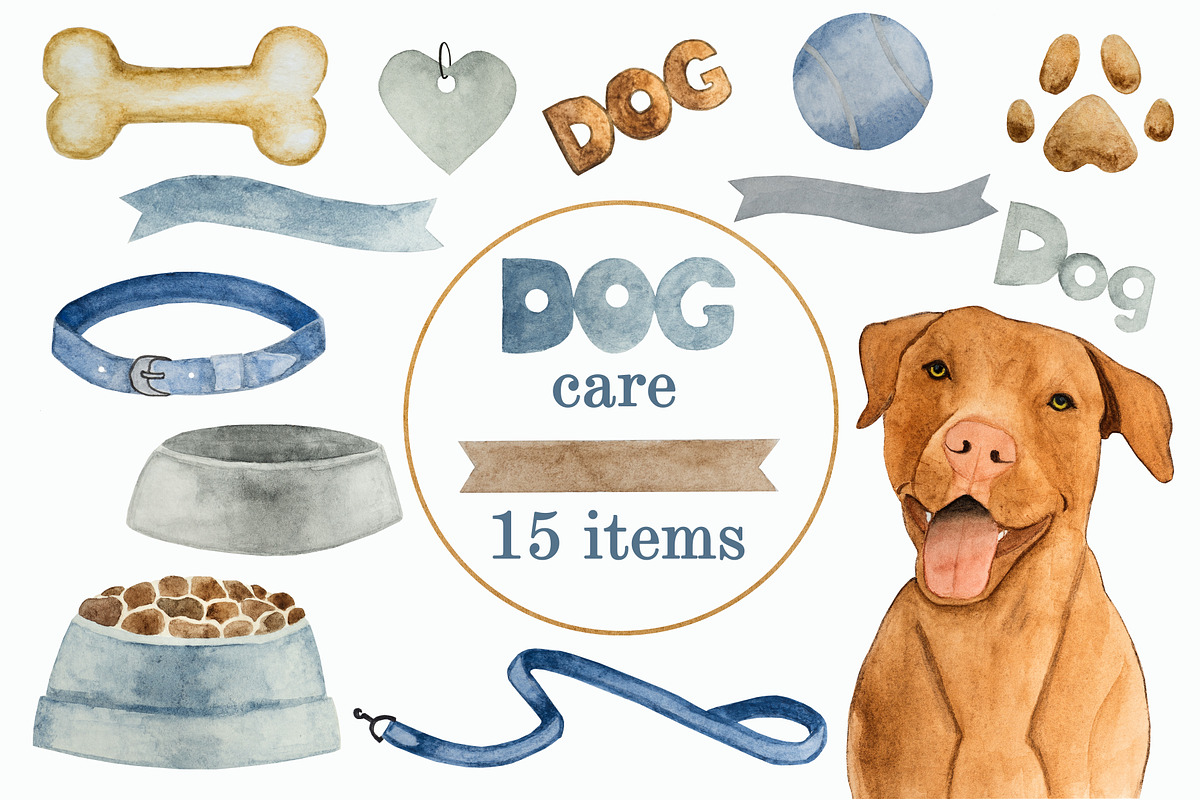 Dog care. 15 items, an Animal Illustration by Svetlana Barchan (Photo 1 of 16)