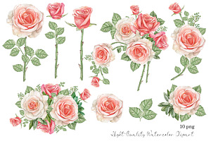 Watercolor Dusty Rose Flower Clipart