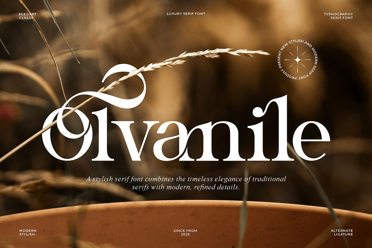 Olvanile || Modern Classy Serif Font, a Serif Font by Ermedia Studio (Photo 1 of 10)