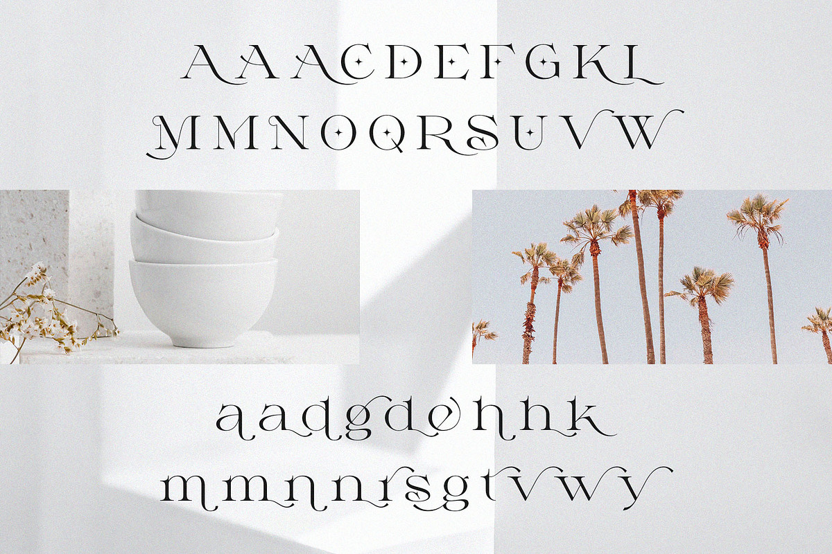 Milssky || Modern & Classy Ligature, a Serif Font by BrandSemut (Photo 14 of 16)