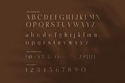 Sellang Elegant Serif Font, a Serif Font by Perfectype (Thumbnail 7 of 8)