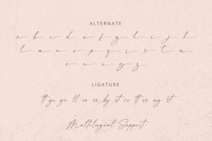 Felicity - Handwritten Font