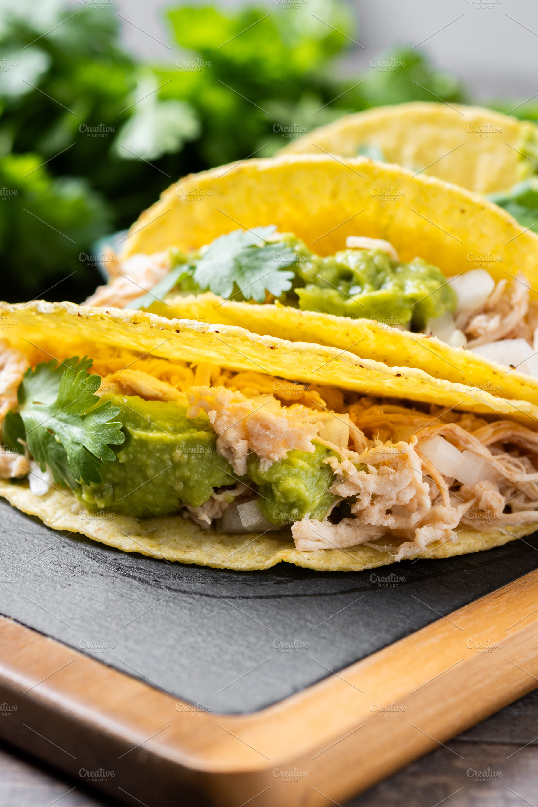 Mexican chicken tacos with guacamole and cilantro, a Food & Drink Photo by etorres69