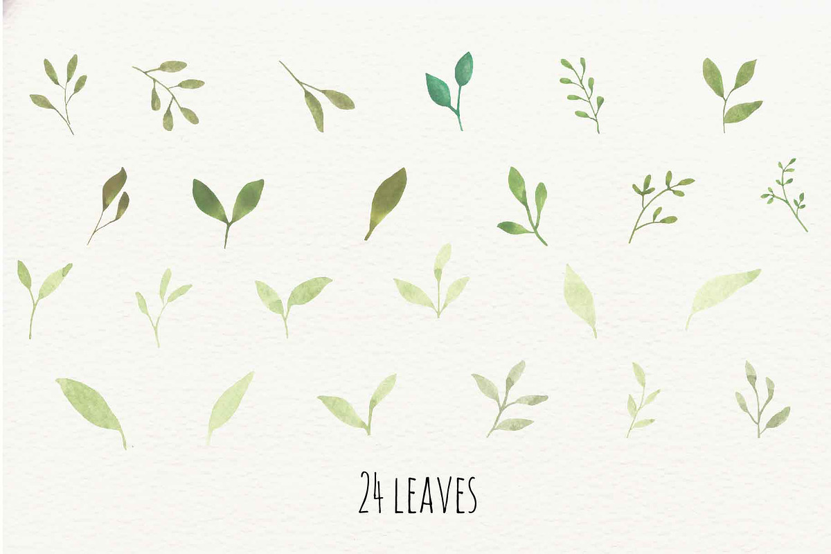 Hand painted watercolour florals, a Texture Illustration by Desert Rose (Photo 7 of 9)