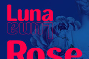 Takeda Sans Display Font Rounded, a Sans Serif Font by Maulana Creative (Thumbnail 2 of 6)