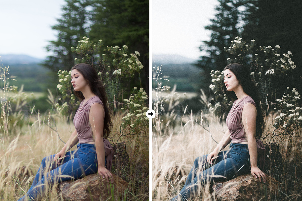 Forest VSCO-Like Lightroom Preset preview 4