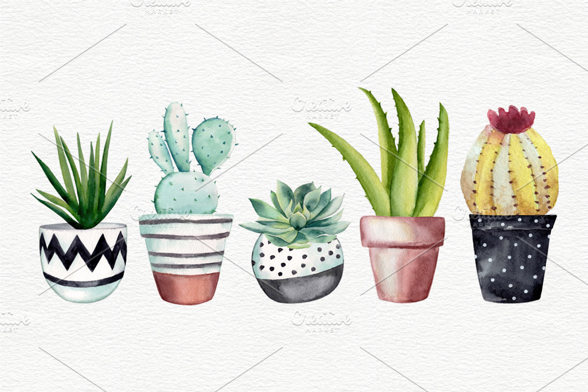 Cactus clipart with pots, a Decorative Illustration by Colibri Watercolor (Photo 3 of 5)