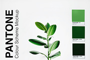 Pantone Colour Scheme Mockup, a Wearable Device Mockup by Tropical Type (Thumbnail 4 of 6)